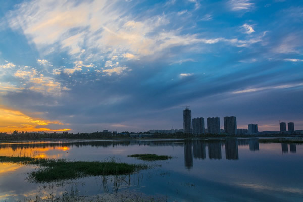 �������Y