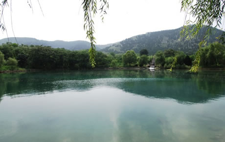 �������Y