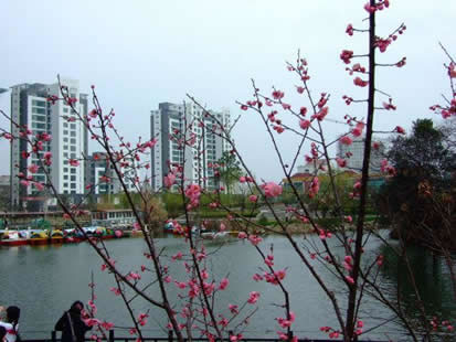 �������Y