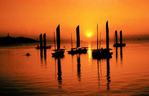 �������Y