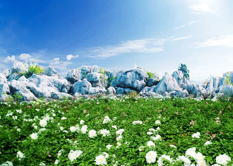 �������Y