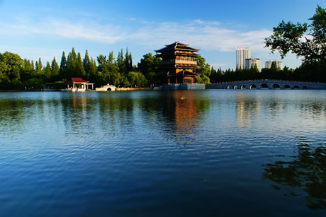 �������Y