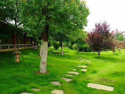 �������Y