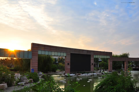 �������Y