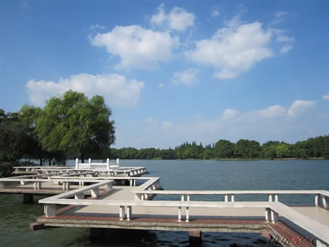 �������Y