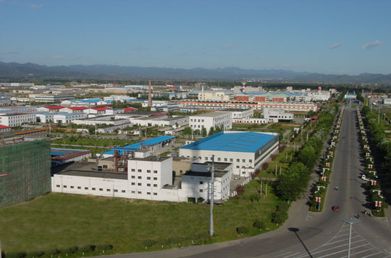 �������Y