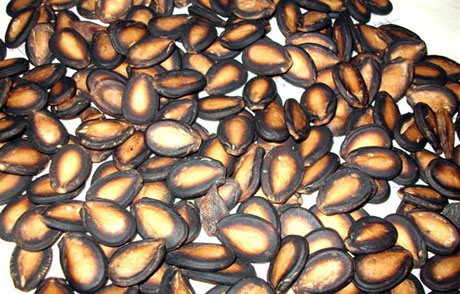 �������Y