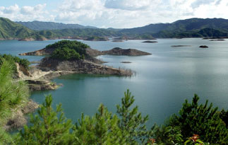 �������Y