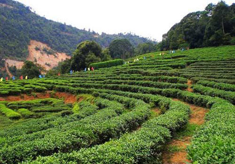 �������Y