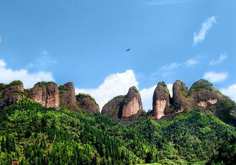 �������Y