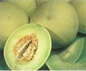 �������Y