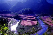 �������Y