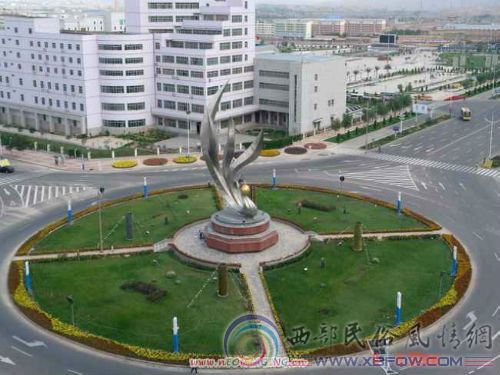 �������Y