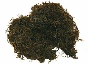 �������Y