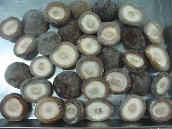 �������Y