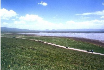 �������Y