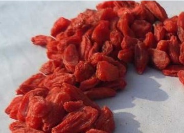 �������Y