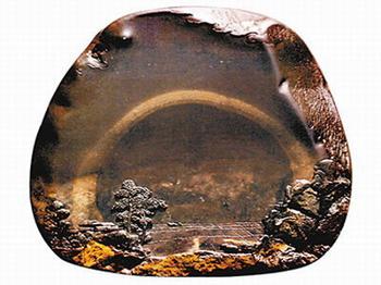 �������Y