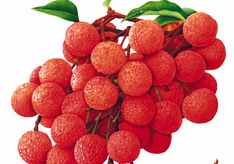 �������Y