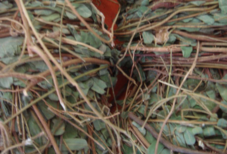 �������Y