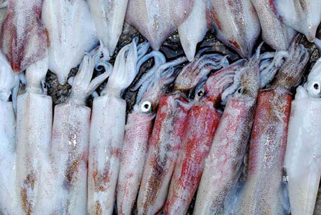 �������Y