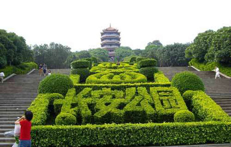 �������Y