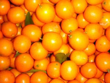 �������Y