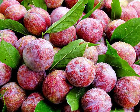 �������Y