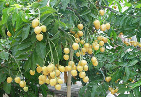 �������Y