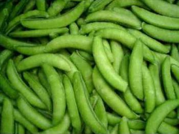 �������Y