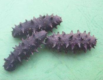 �������Y