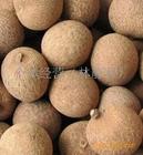 �������Y