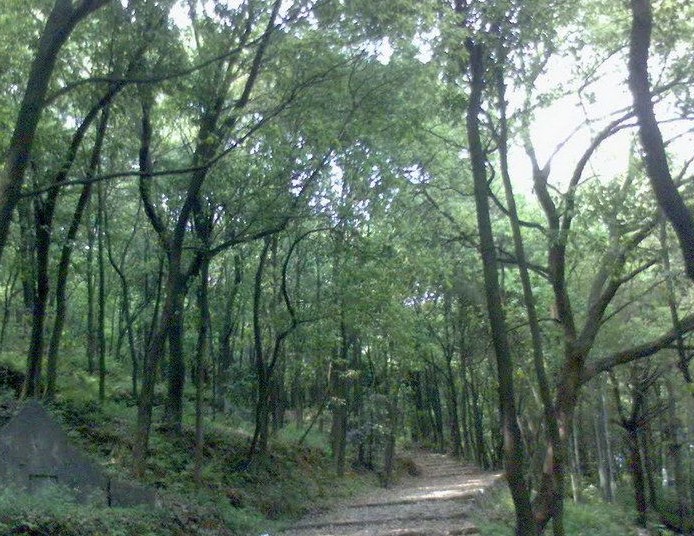 �������Y