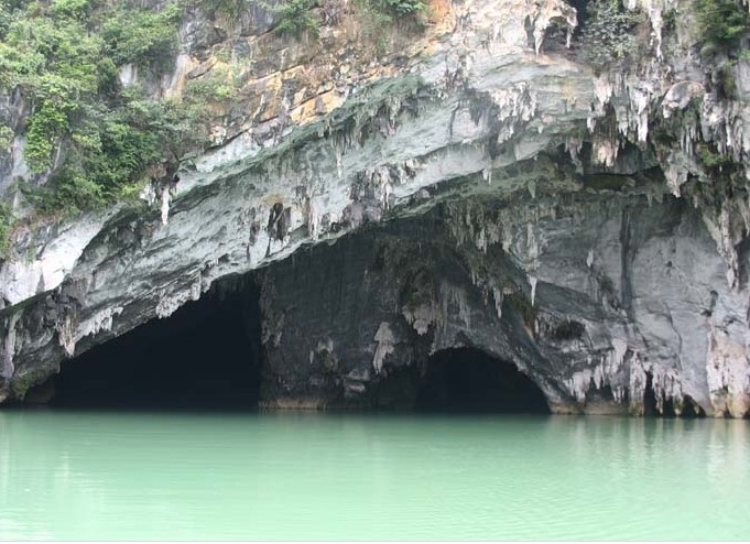 �������Y