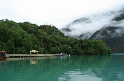 �������Y