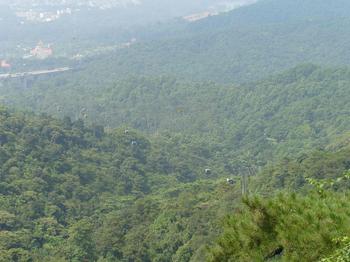 �������Y