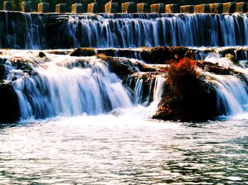 �������Y