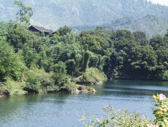 �������Y