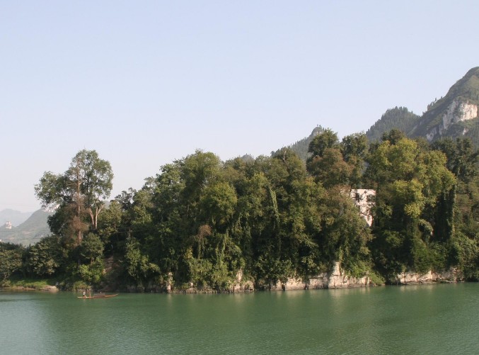 �������Y