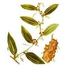 �������Y