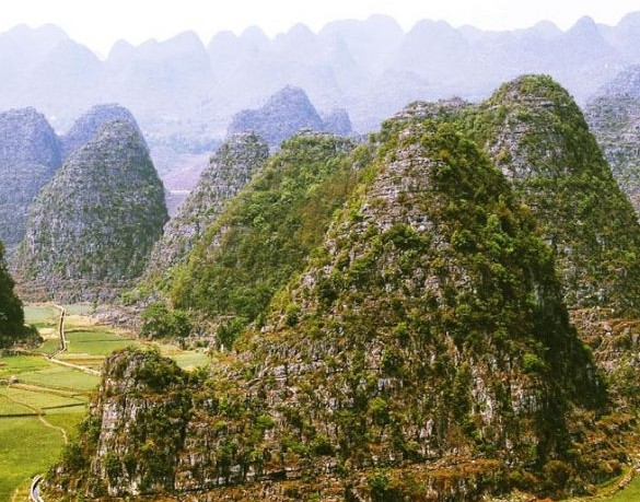 �������Y