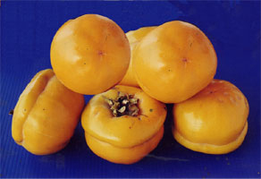 �������Y