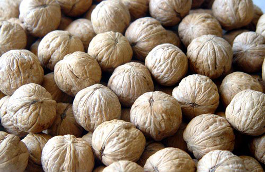 �������Y