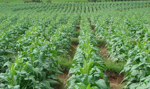 �������Y