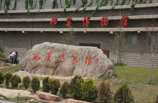 �������Y