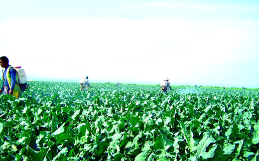 �������Y