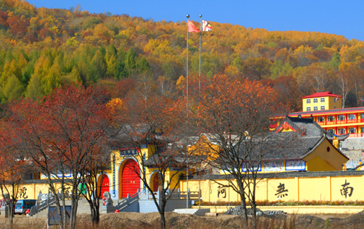 �������Y