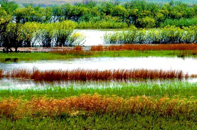 �������Y