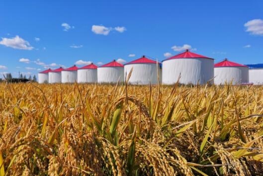 �������Y