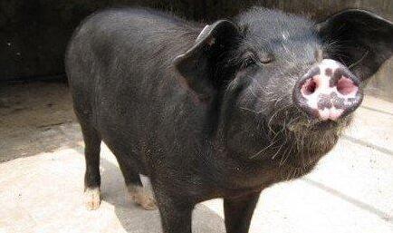 �������Y